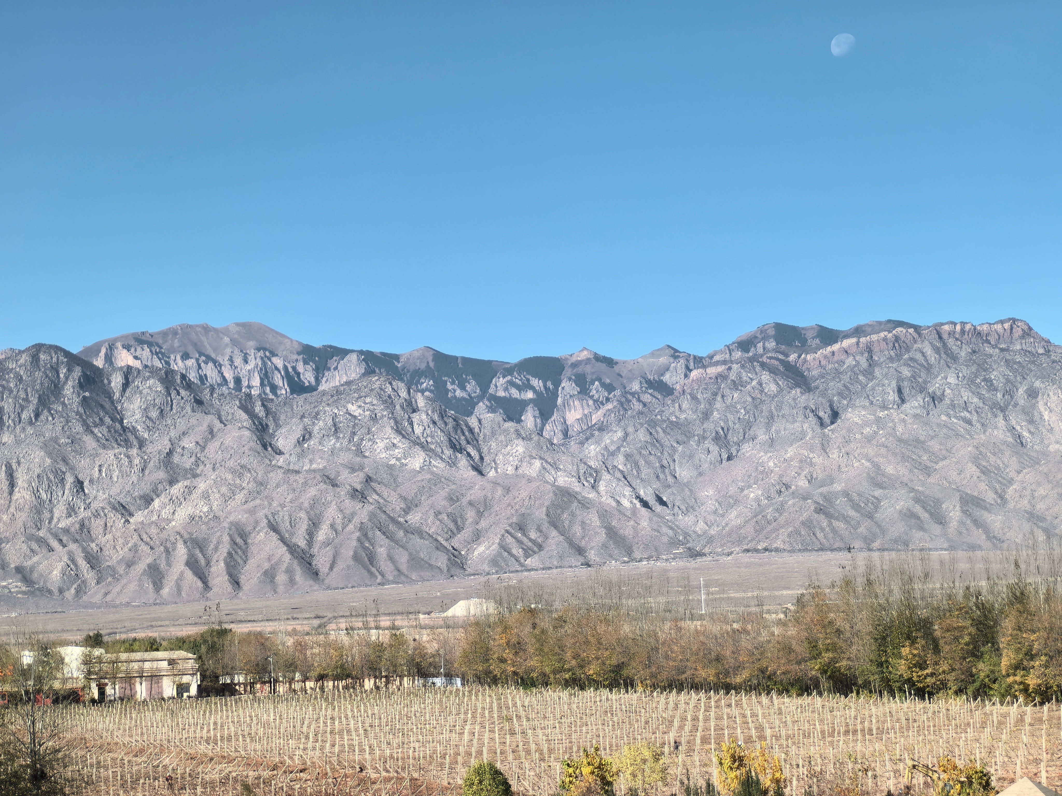 ANW Liquor Official Website