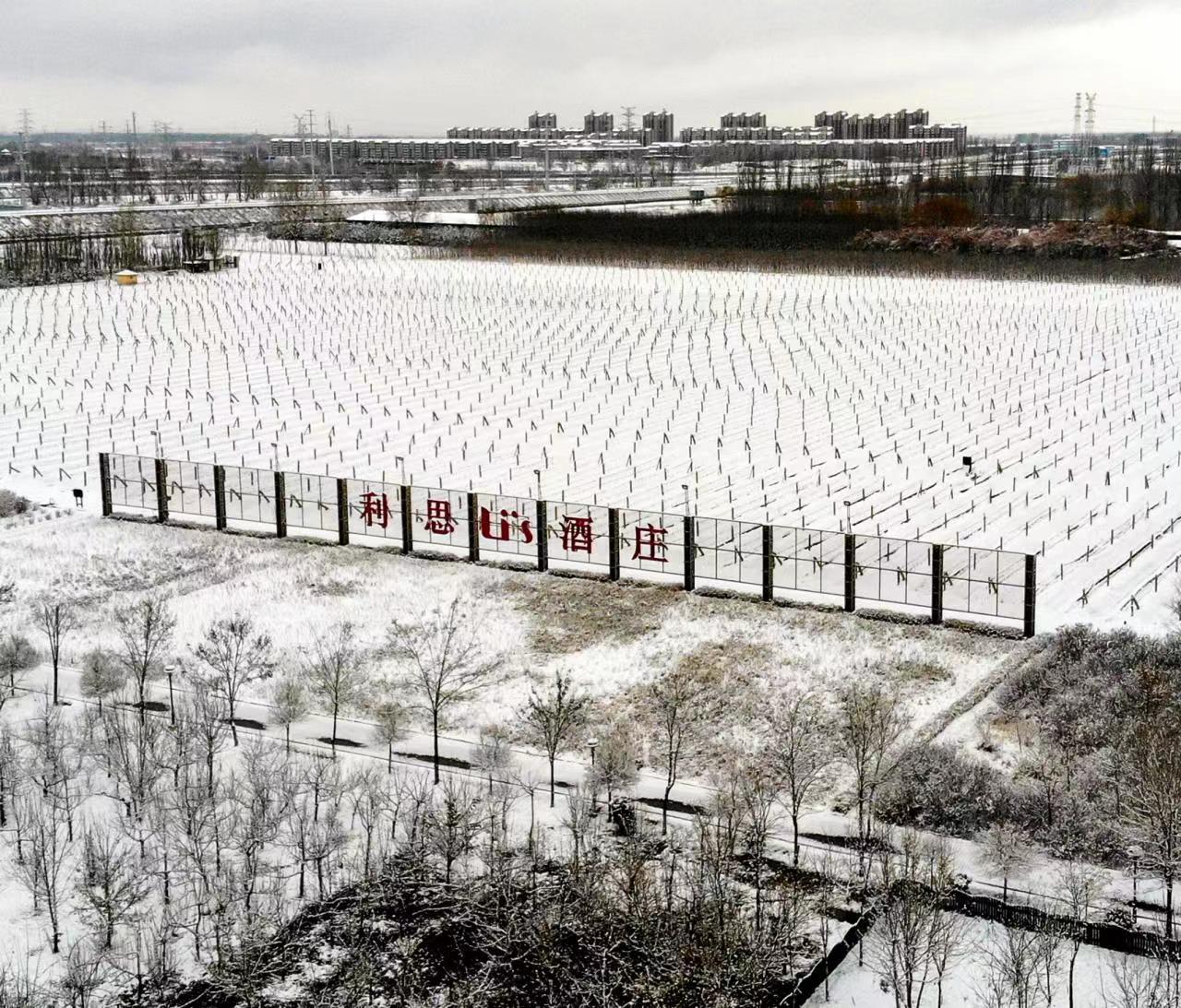 ANW Liquor Official Website