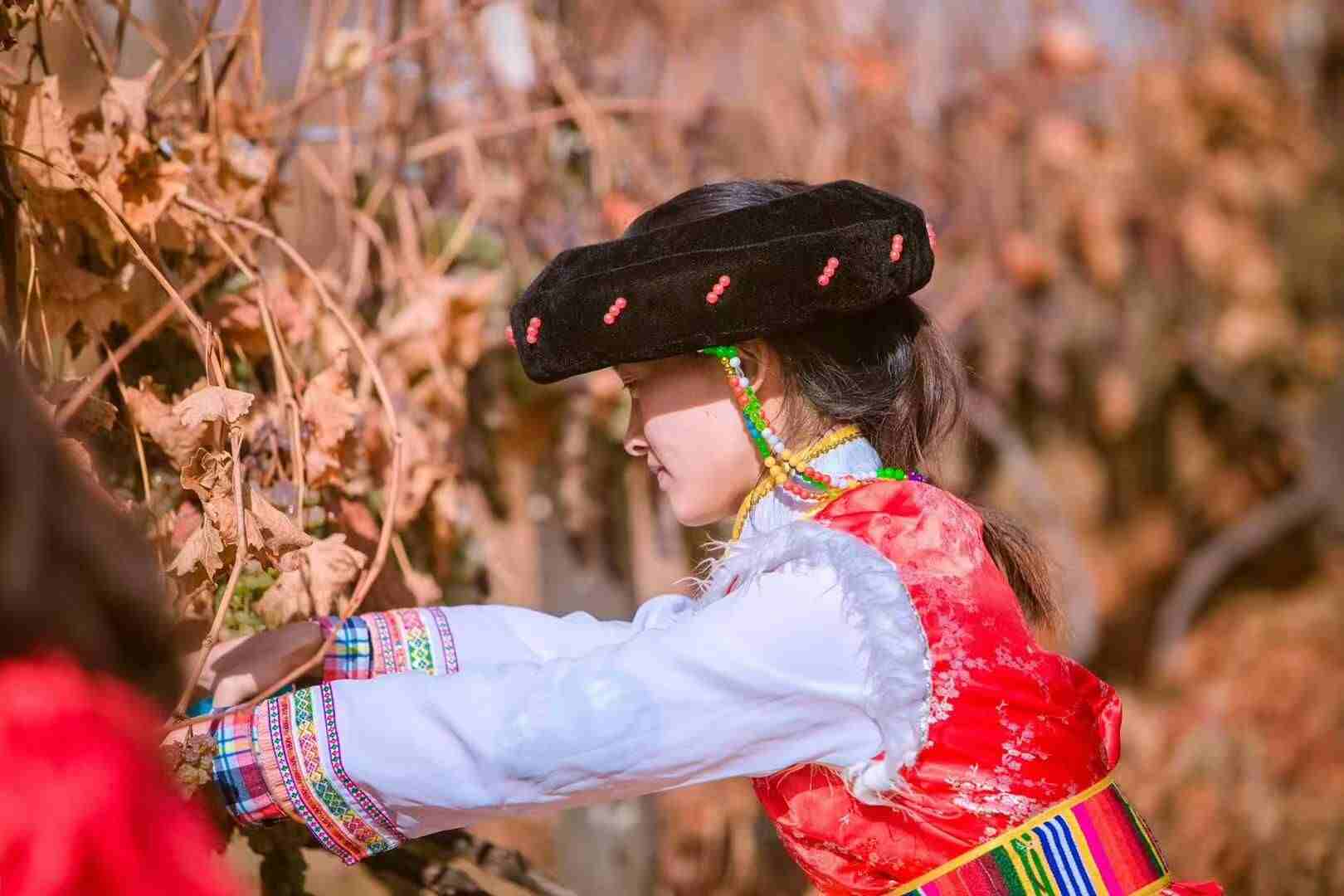 ANW Liquor Official Website